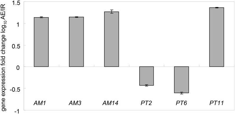 Figure 9.