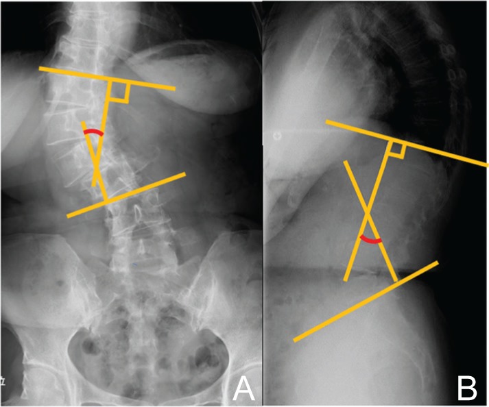 Fig. 1.