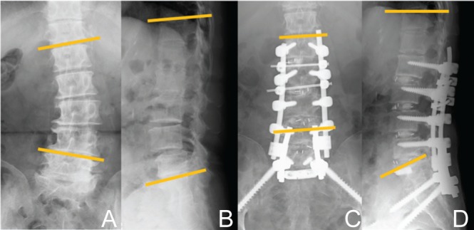 Fig. 3.