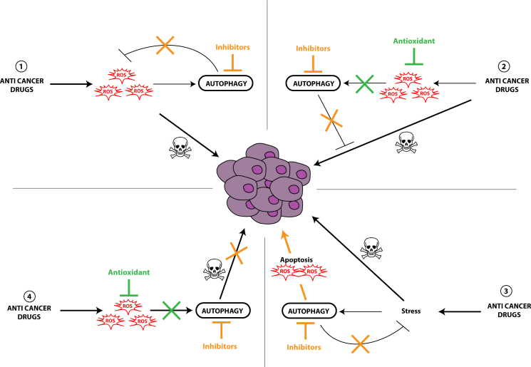 Fig. 3