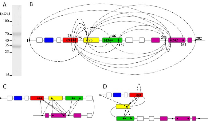 Fig 3