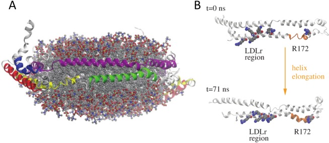 Fig 5