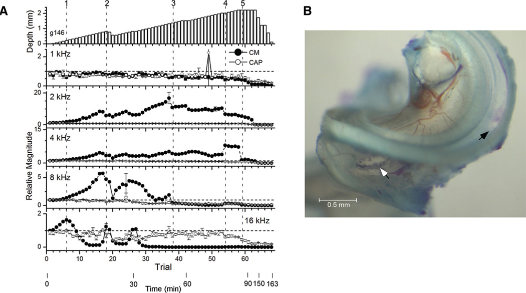 Fig. 3