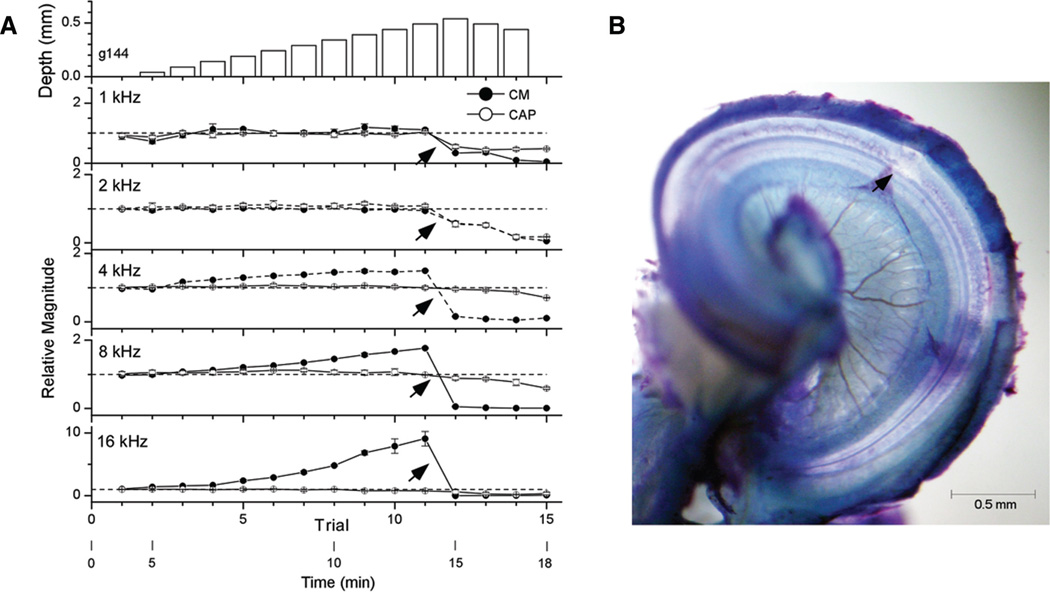 Fig. 4