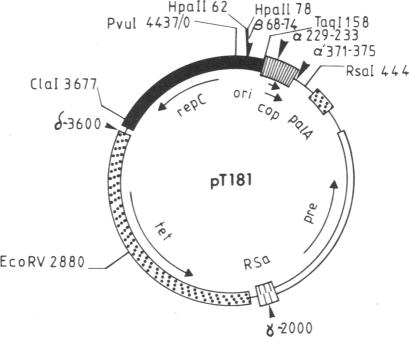 graphic file with name pnas01046-0384-b.jpg