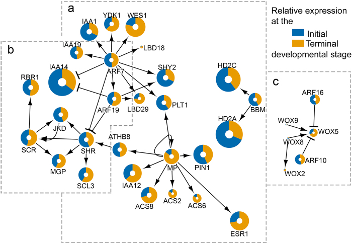 Figure 6