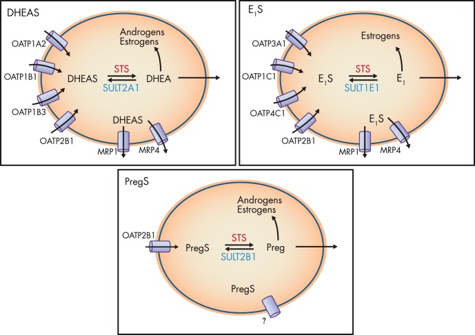 Figure 4.