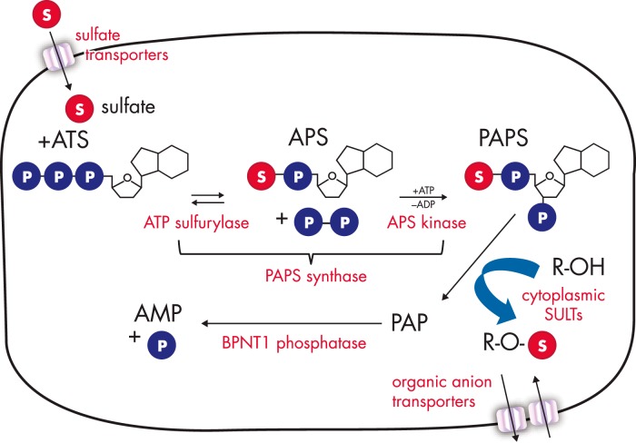 Figure 3.