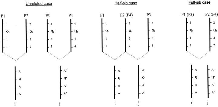 Figure 1.—