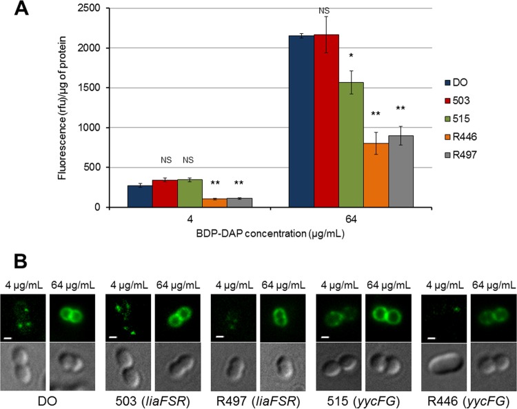 FIG 3