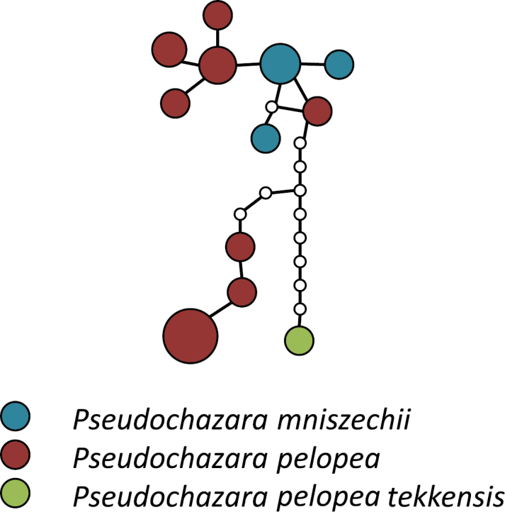 Figure 2.