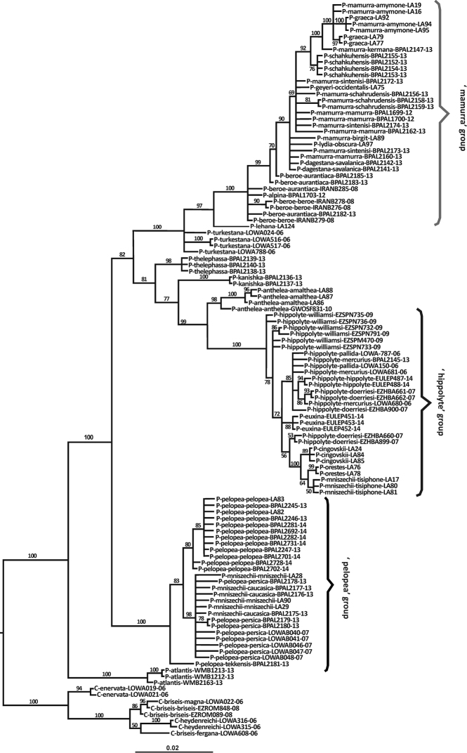 Figure 5.