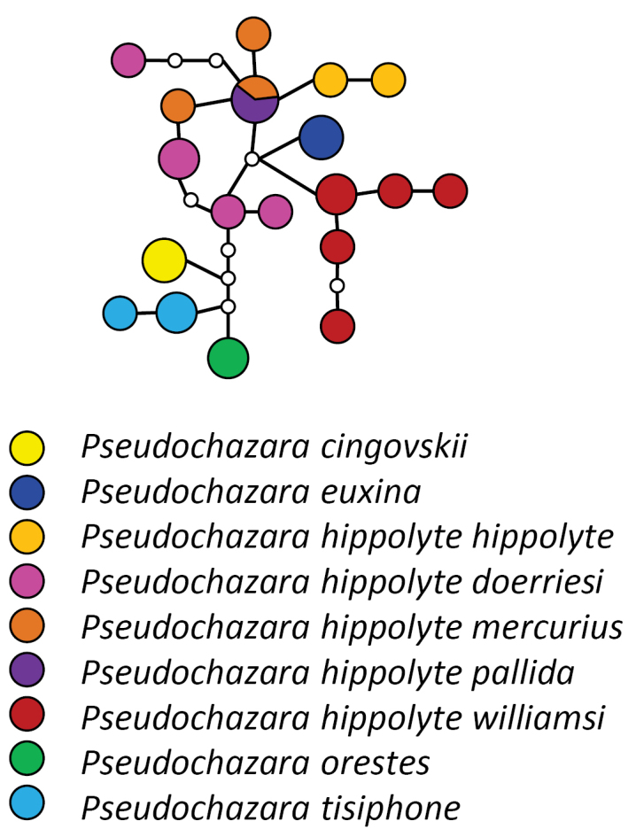 Figure 3.