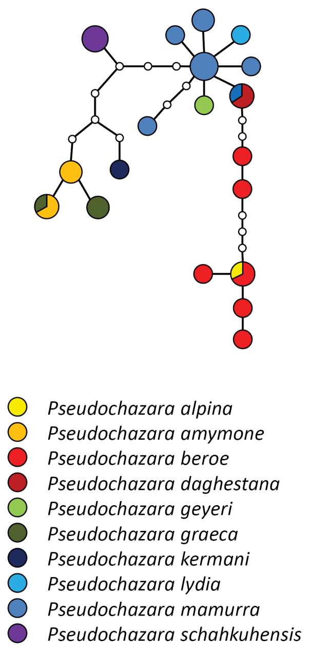 Figure 4.