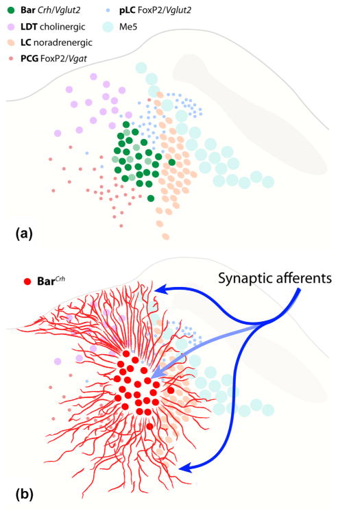 FIGURE 11