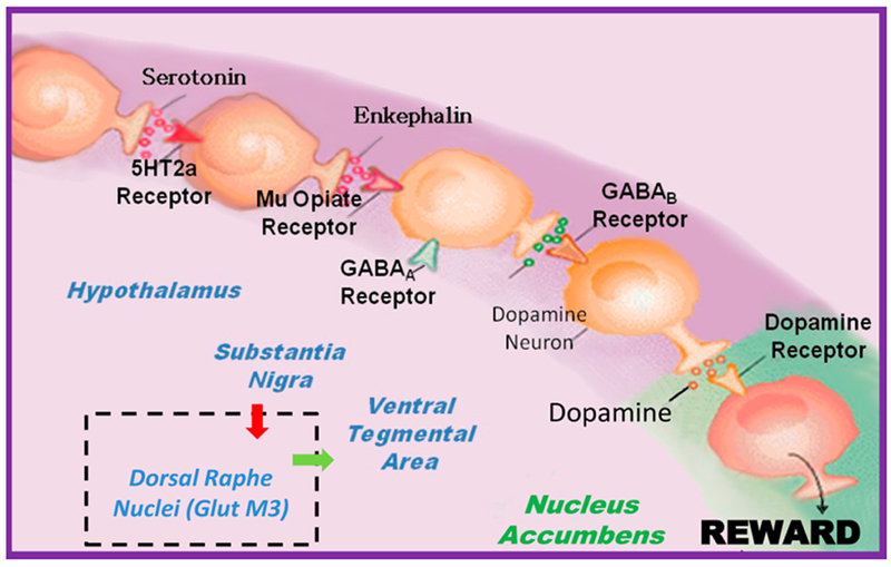 Figure 3: