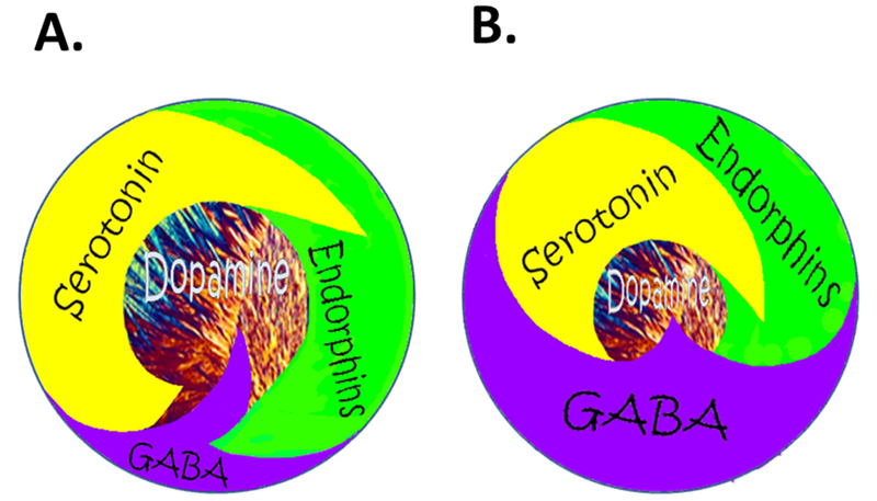 Figure 5: