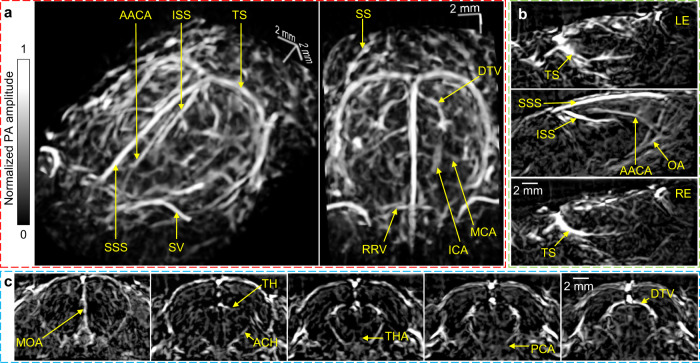 Fig. 2