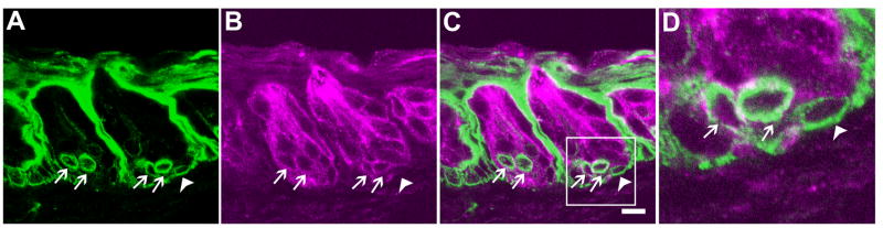 Figure 7