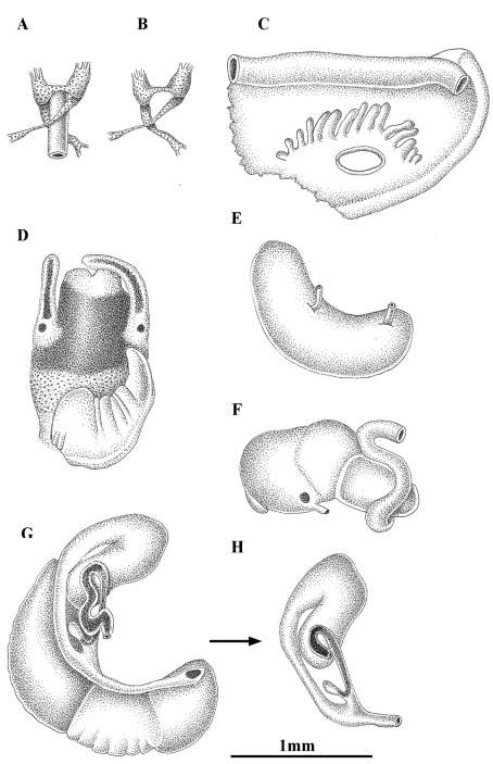 Figure 7.