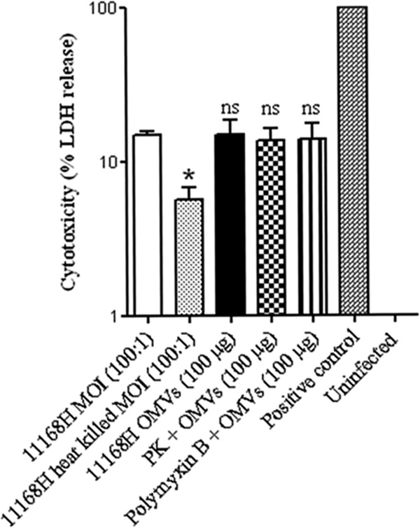 Fig 5