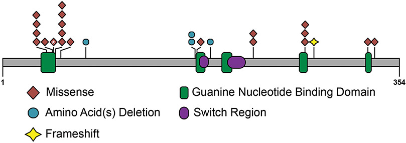 Figure 1: