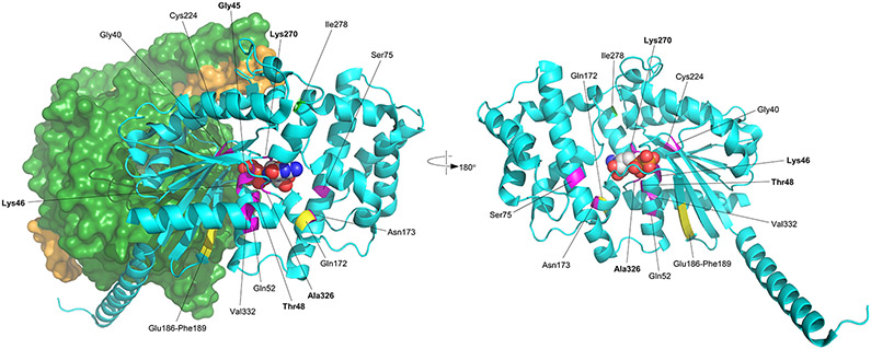 Figure 1: