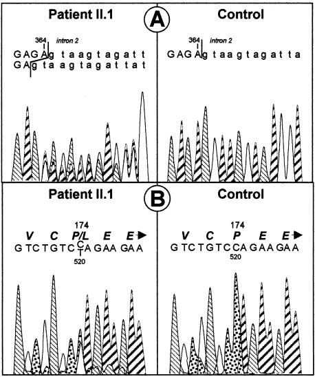 Figure  2 