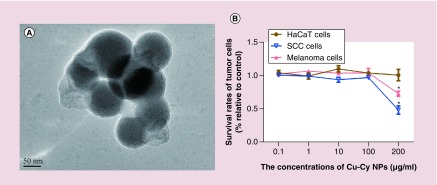 Figure 2. 