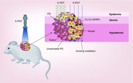 Figure 1. 