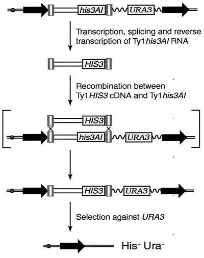 FIG. 6