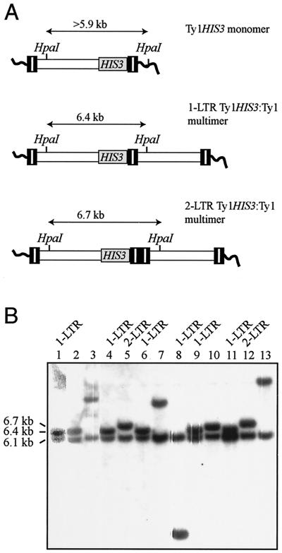 FIG. 8