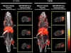 Fig. 6