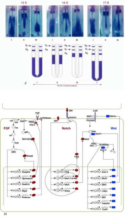 Figure1