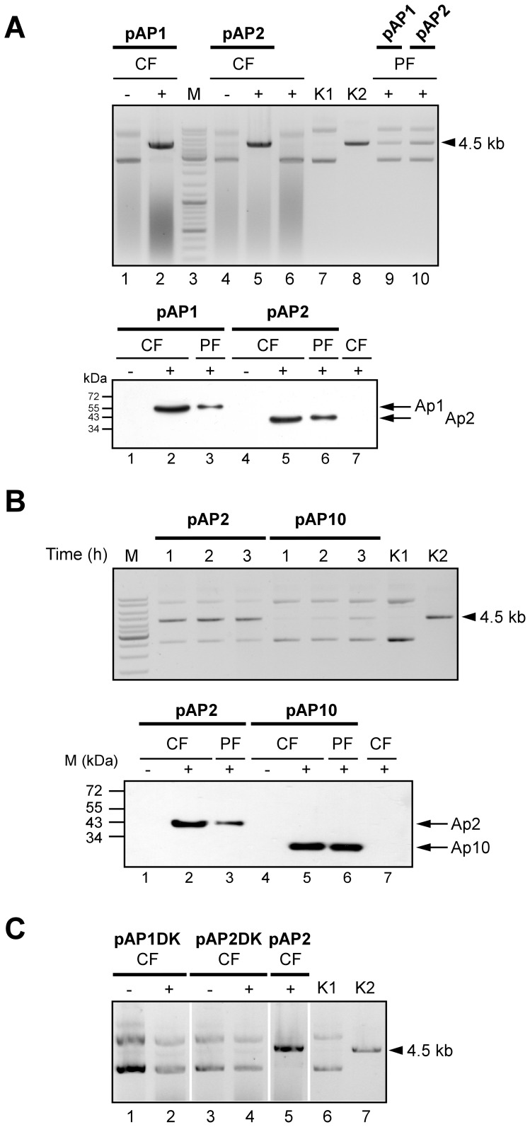 Figure 2