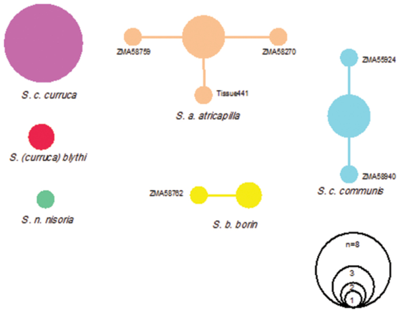 Figure 3.