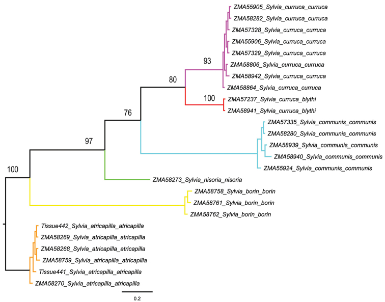 Figure 2.