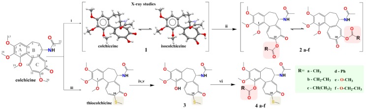 Scheme 1