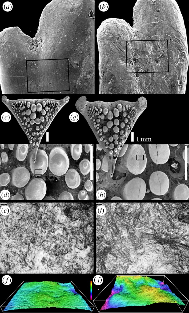 Figure 1.