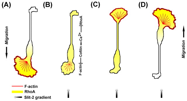 Fig. 9.