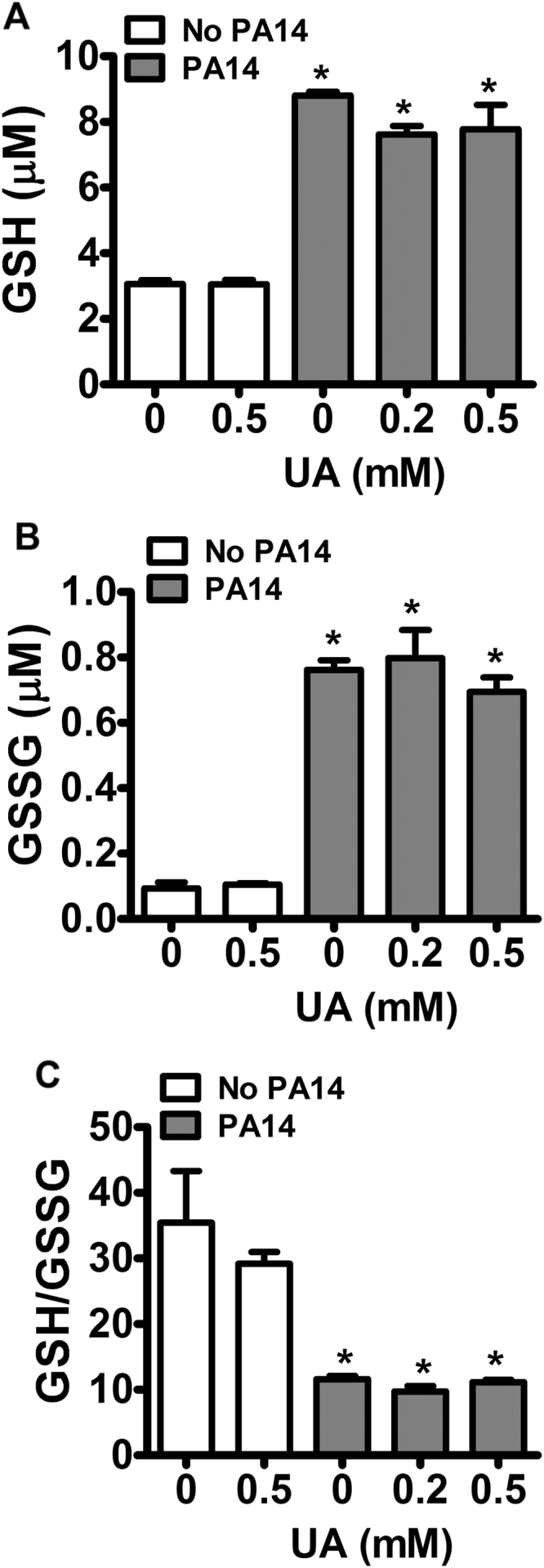 Fig. 6