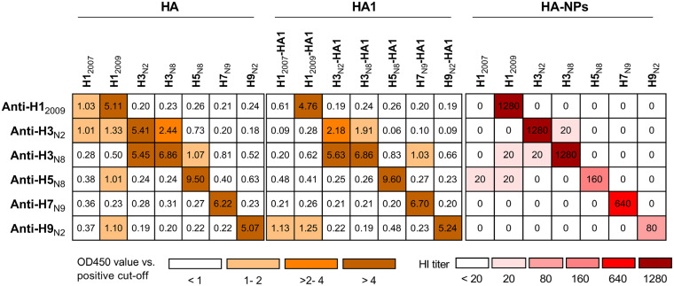 FIG 3