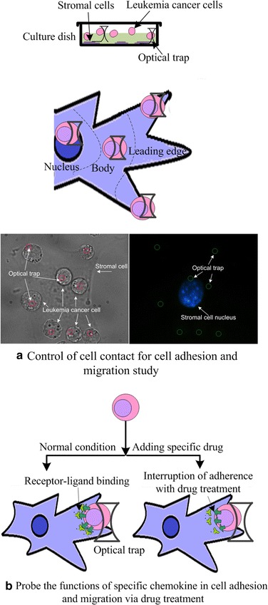 Fig. 2