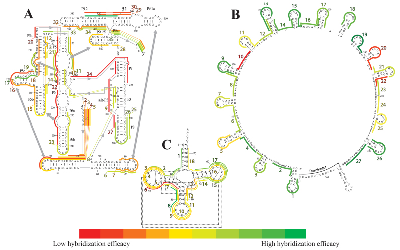 Figure 3.