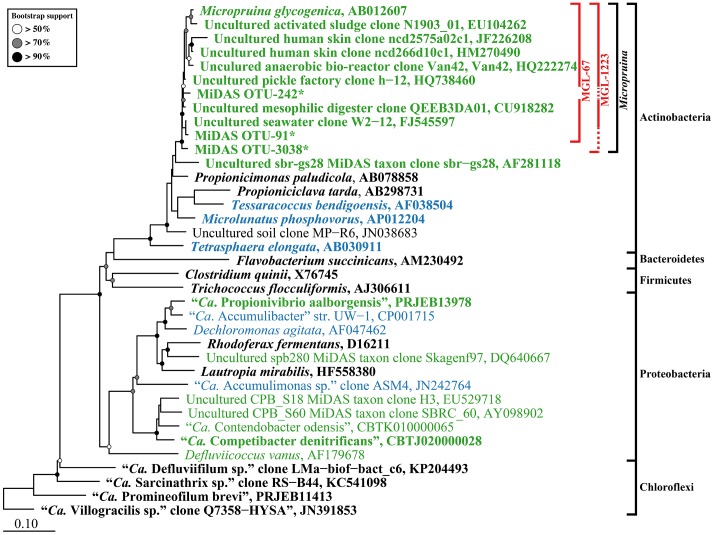 FIGURE 1