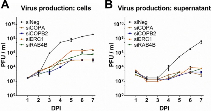 FIG 4 