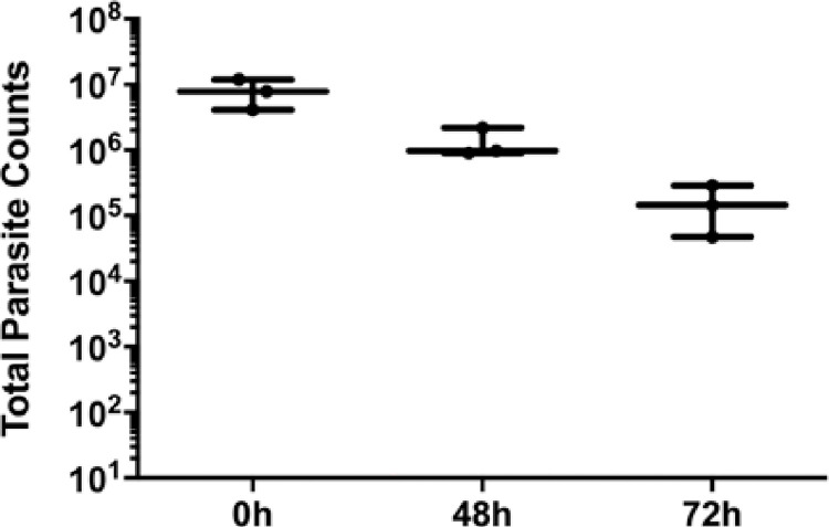 Fig 5