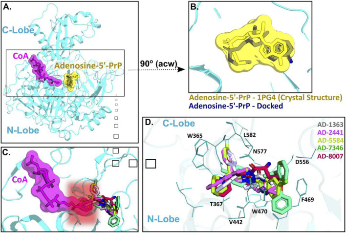 FIGURE 4