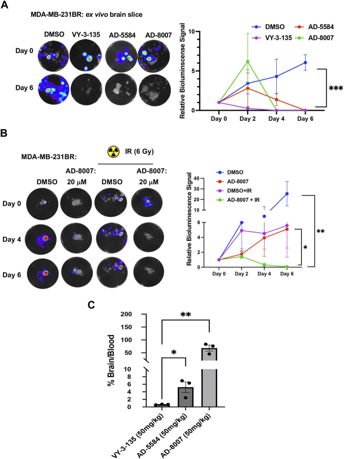 FIGURE 7