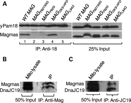 Figure 5.